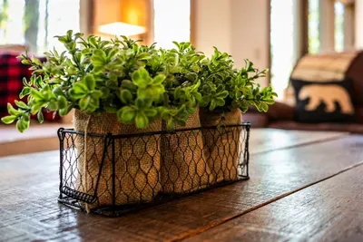 Thoughtful details throughout add warmth and comfort to your stay.