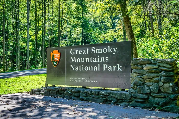 Steps from the most-visited national park in America — hike, breathe, explore, then come home to your cabin. Great Smoky Mountains access doesn't get easier.