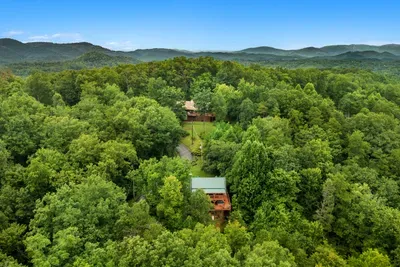 Green roof barely visible in the canopy from above. This is what private actually looks like — no neighbors, no road noise, no shared driveway.