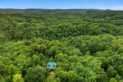 Surrounded on every side by forest. The kind of seclusion that makes a Smoky Mountain trip feel like an escape rather than another crowded weekend.