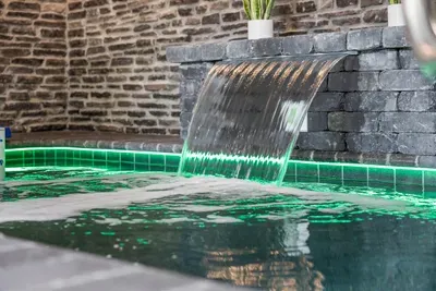 Grab your swimsuit—it's pool time at Bearfoot Bliss!