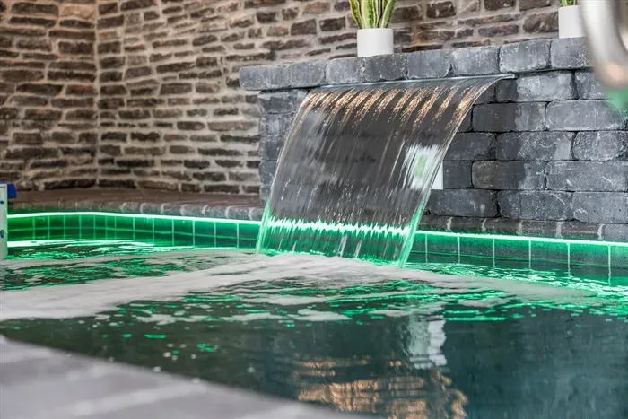 Grab your swimsuit—it's pool time at Bearfoot Bliss!