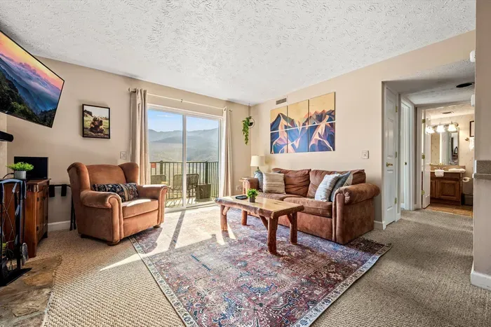 Living room includes full sleeper sofa and cable TV.