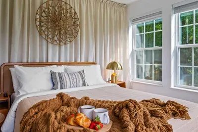 Malibu vibes only nature views, plants, and pure calm.
