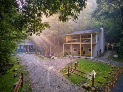Morning light breaking through the canopy over the cabin — this is what you'll see on the walk back from the fire pit with your coffee. Private drive, no neighbors in sight.