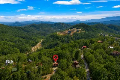 Above the forest, the cabin stands as your private hideaway in the sky.