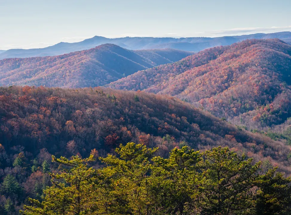 late-autumn-colors-in-north-carolina-mountains-2026-03-13-04-24-42-utc