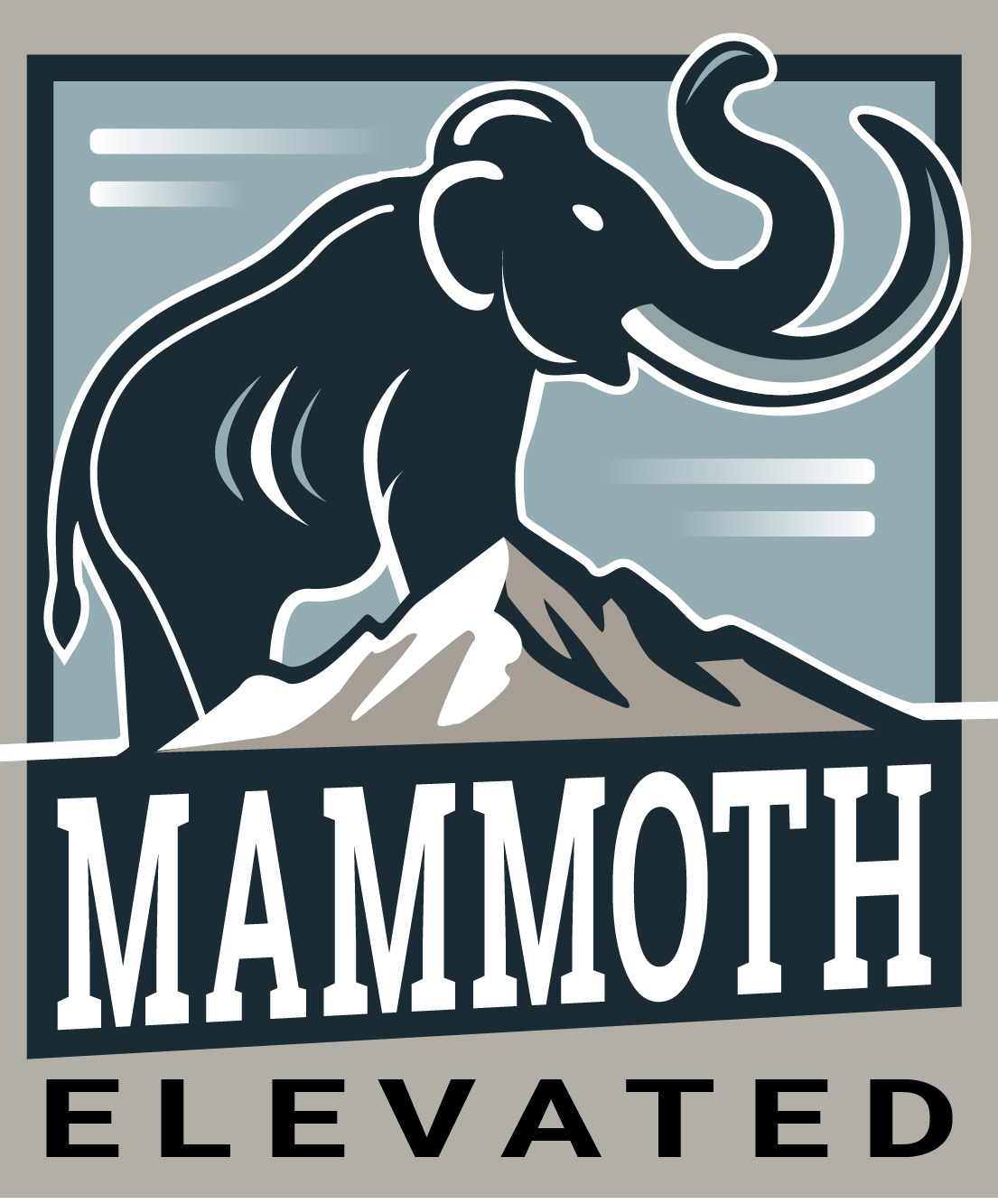 Mammoth Elevated Property Management