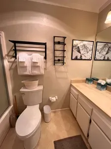 Full Bathroom in Master Bedroom