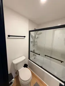 Downstairs Bathroom Toilet and Shower