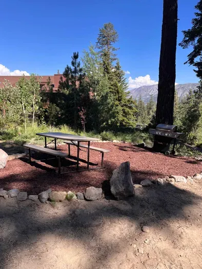 Outdoor forrest area in the middle of the complex.  Picnic tables and BBQ's are setup here in the summer months.  Available to all guests in the complex.