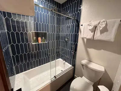 Living Room bathroom shower/bath