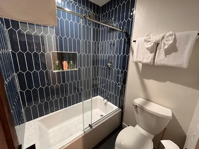 Living Room bathroom shower/bath
