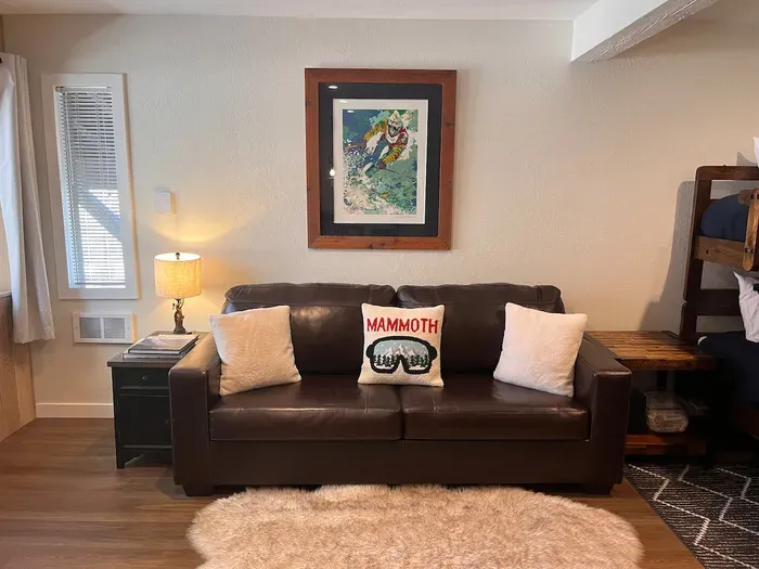 Pullout couch in living room