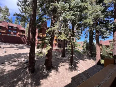 Shared backyard off private balcony