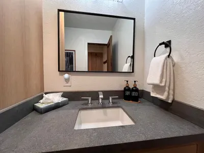 Living room bathroom sink