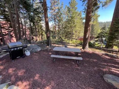 Picnic table and gas BBQ in backyard off private balcony