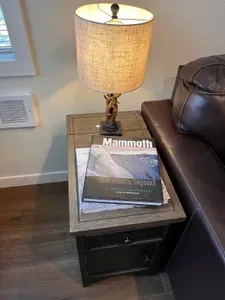 Living Room end table with reading lamp