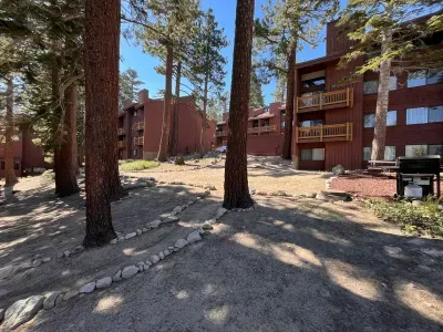 Wooded area next to condo. Great for walking the dogs.