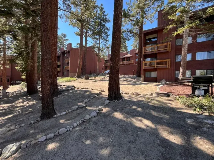 Wooded area next to condo. Great for walking the dogs.