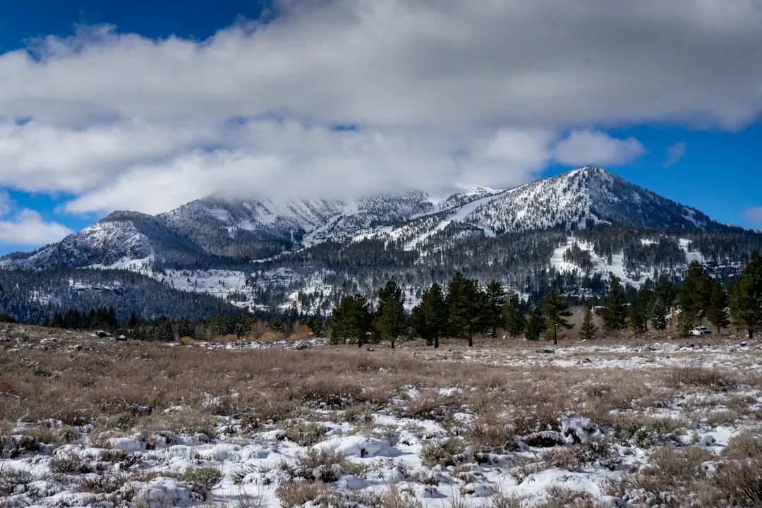 Mammoth_Mountain
