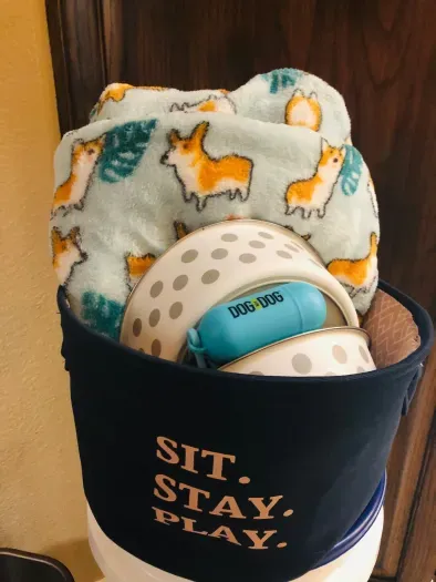 Bring your fur baby! We’re ready. Use sheet/ blankets to cover sofa or make soft spot on the floor.