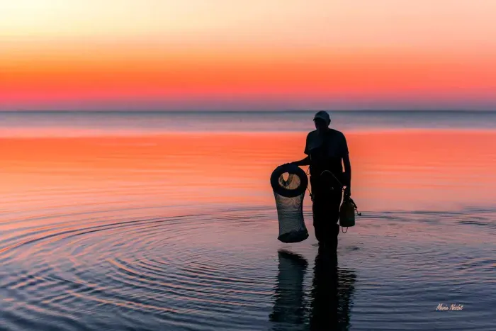 Go catch a sunset--they never look the same way twice!