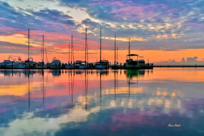 Cruise the bay! Glimpse dolphins and birds galore