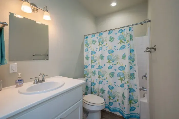 Bathroom 1 (1st Floor)