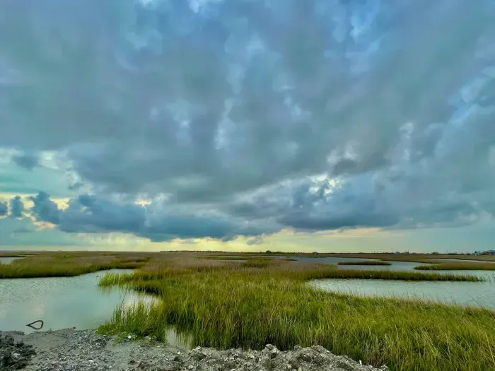 The view of Matagorda Wildlife Sanctuary from upper deck