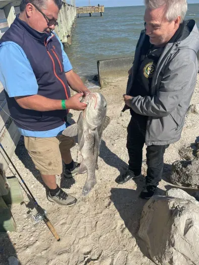 Our guests fished of public pier at Magnolia Beach and brought in this beauty