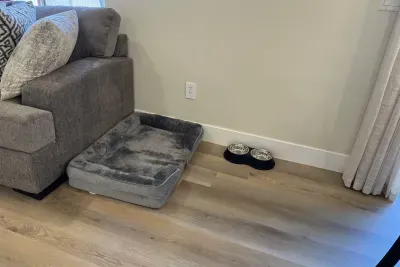 Space for your dog too!