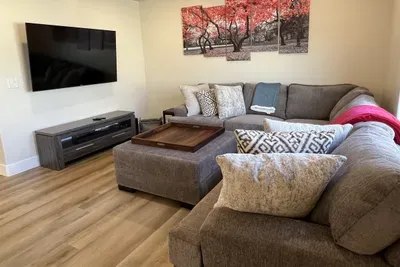 Large Smart TV