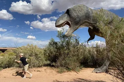 Play with the Dinosaurs!