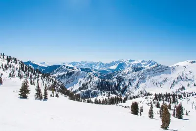 The Wasatch Mountains Are Spectacular