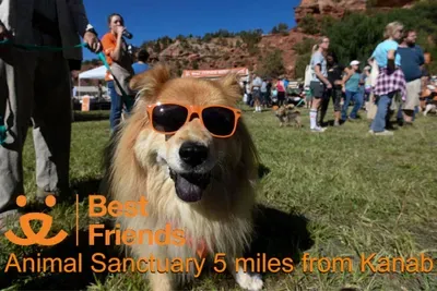 Downtown Kanab Hideaway - image 32 of 32