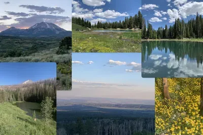 Collage of Local Nature of Old La Sal
