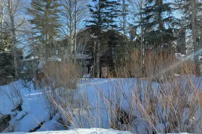 Jupiter Retreat during Ski Season - from the back