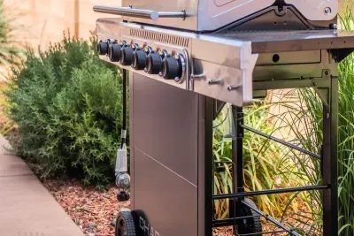 Gas grill for fun family dinners
