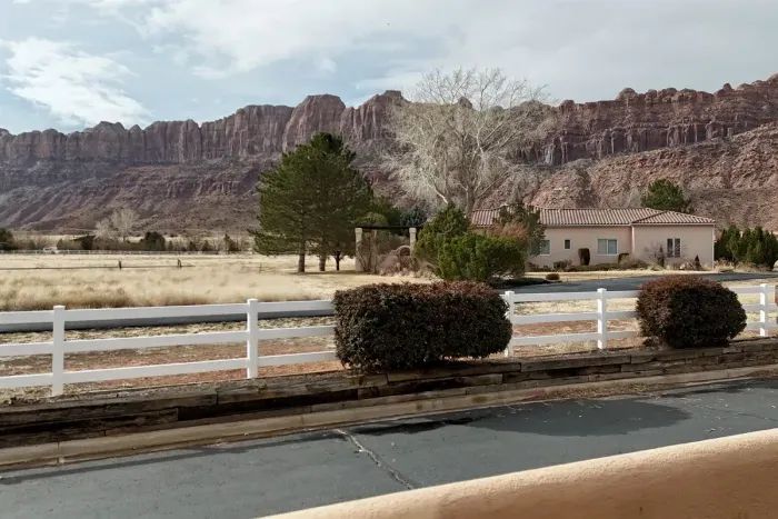 View from the living room & patio 🤩
