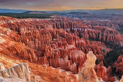Bryce Canyon NP - 1.5 Hours Away