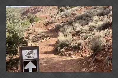 The neighborhood trailhead for your immediate hiking needs