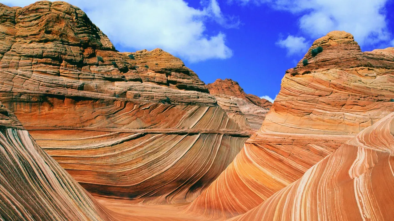 The Wave (Coyote Buttes North)