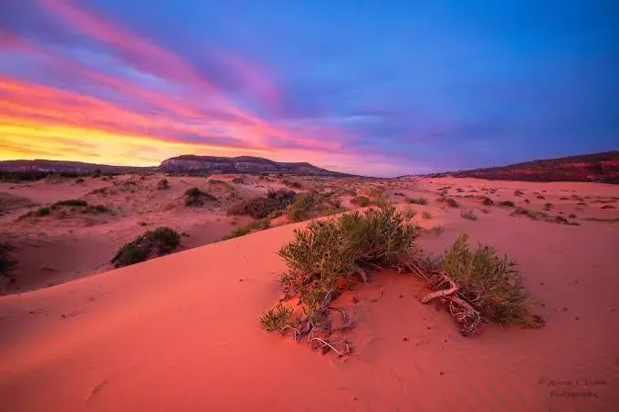 Coral Pink Sand Dunes State Park
