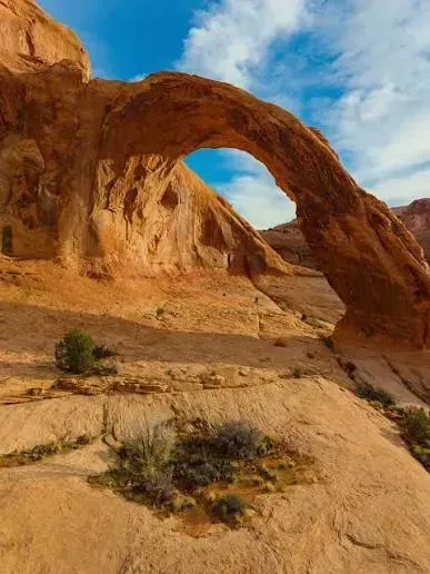 Corona & Bowtie Arch Trail