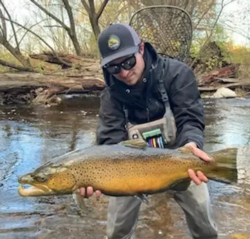 Park City on the Fly