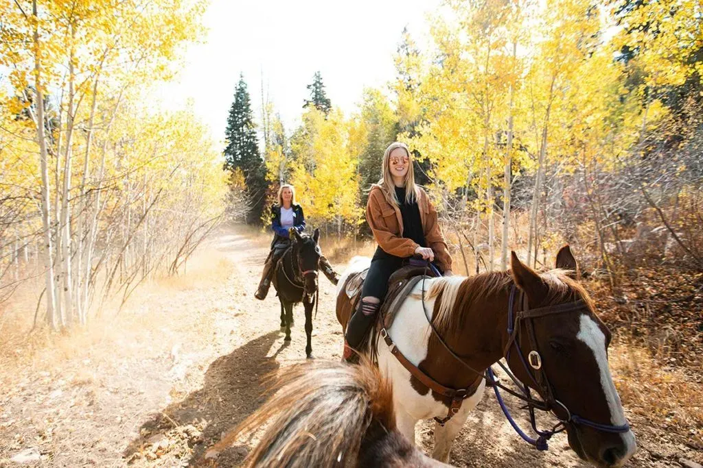 Red Pine Adventures