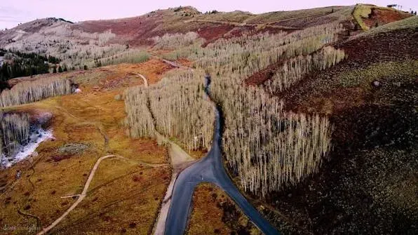 Guardsman Pass Scenic Byway