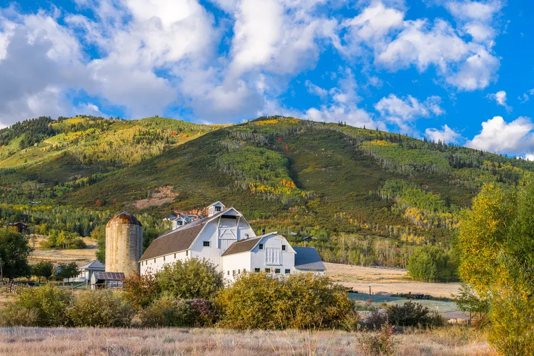 McPolin Farm