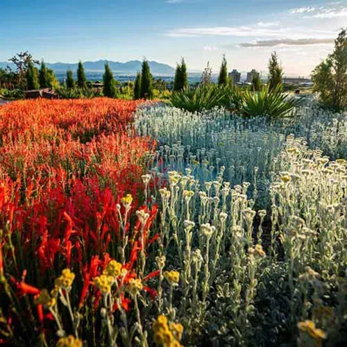 Red Butte Garden